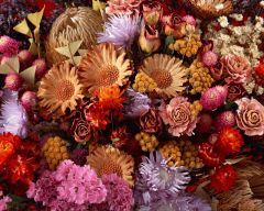 Tapeta Nature Flowers 278.jpg